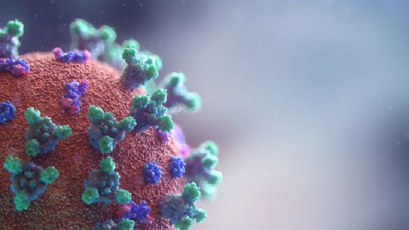 La pp que controla el coronavirus en España
